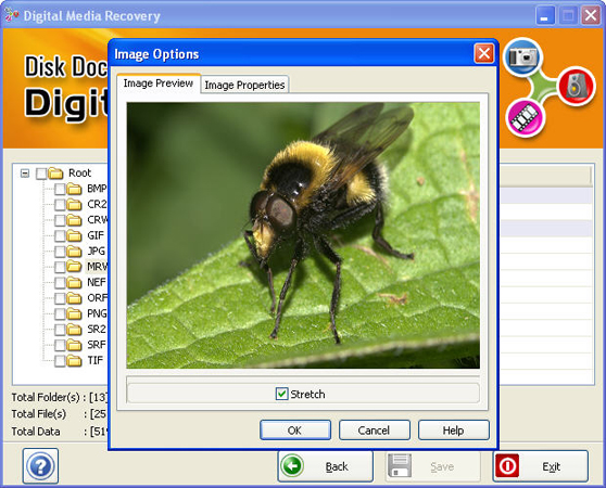 screen-dmr-photopreview